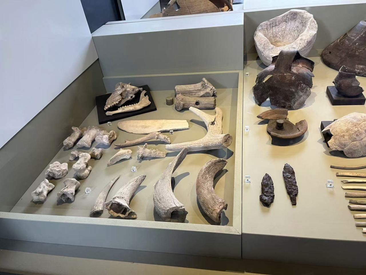 【球盟会】关于我免费参观罗马斗兽场，还与恶人斗智斗勇的故事