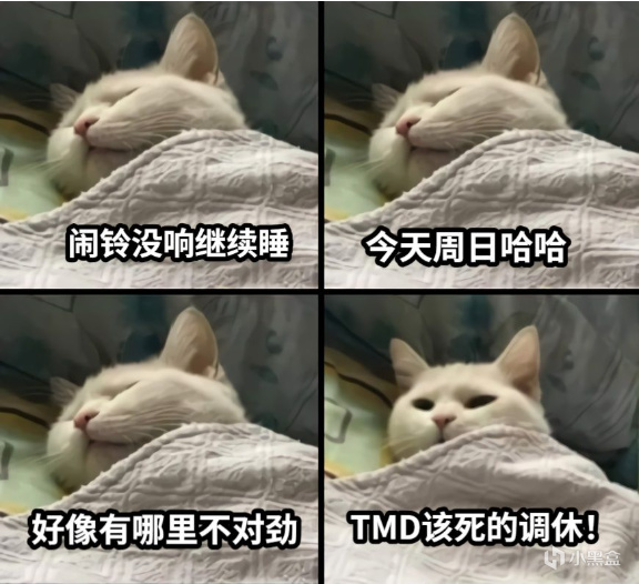 自制MEME分享（第二期）-第4张