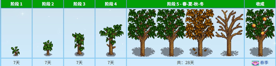 《星露谷物语》中各种各样的树木介绍-第10张