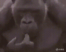 漫威争锋——隐形女故事背景介绍