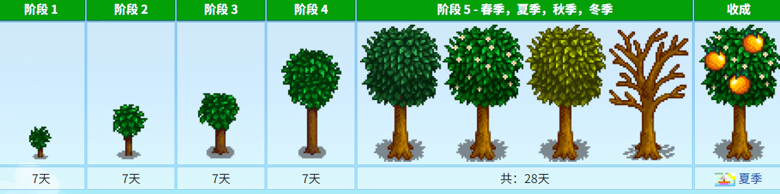 《星露谷物语》中各种各样的树木介绍-第14张