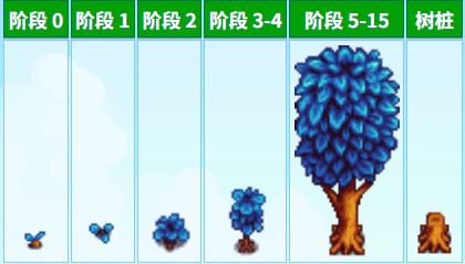 《星露谷物语》中各种各样的树木介绍-第6张