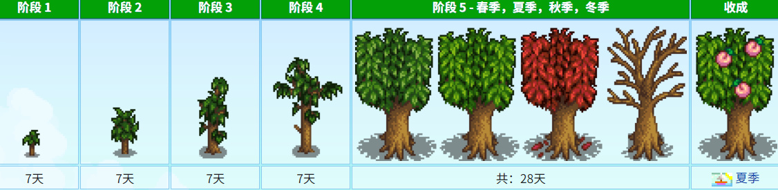 《星露谷物语》中各种各样的树木介绍-第15张