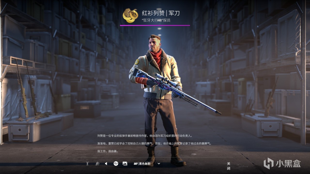 CSGO回坑后库存变化(大学->工作）-第29张