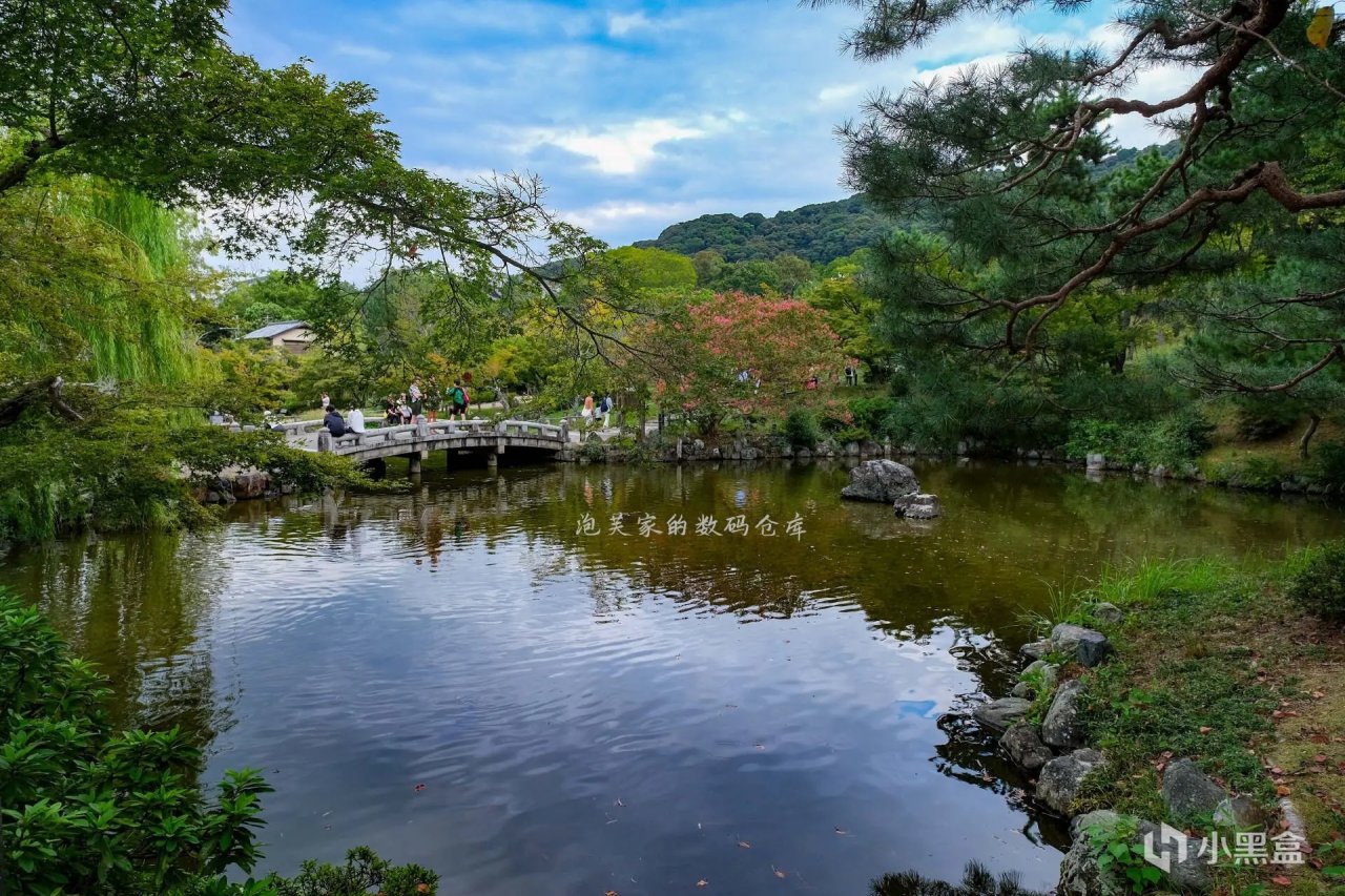 佳能用户最合适的挂机镜头？腾龙11-20mm f/2.8 RF体验-第13张