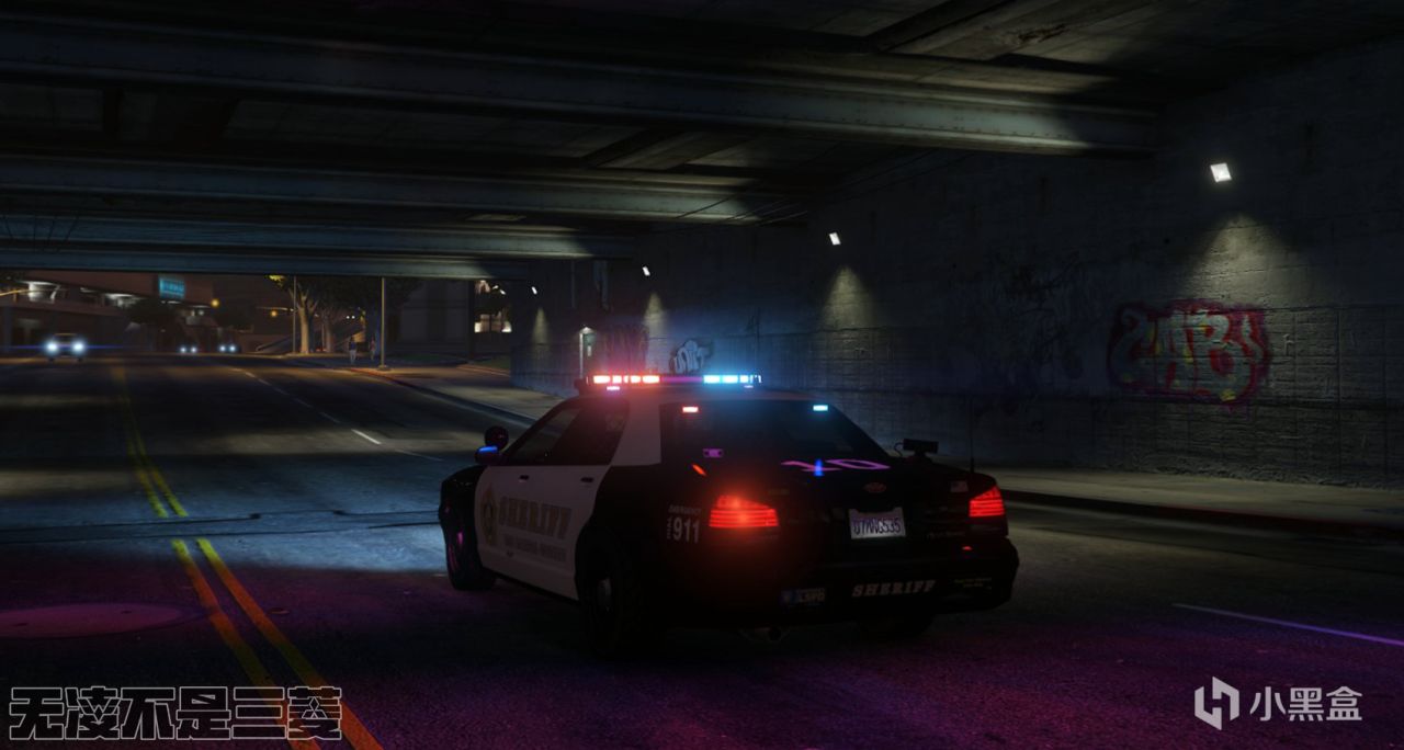 【凌坊】GTAOL警車個人改裝案例-第8張