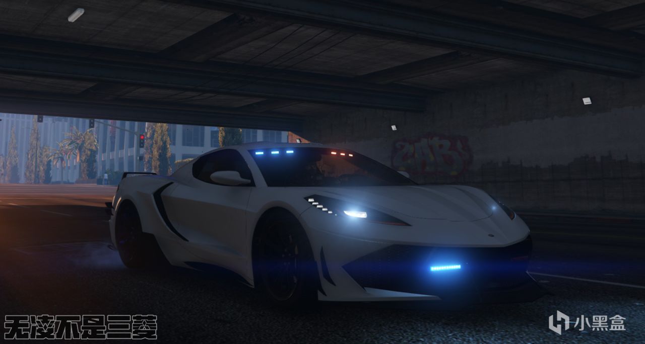 【凌坊】GTAOL警車個人改裝案例-第4張