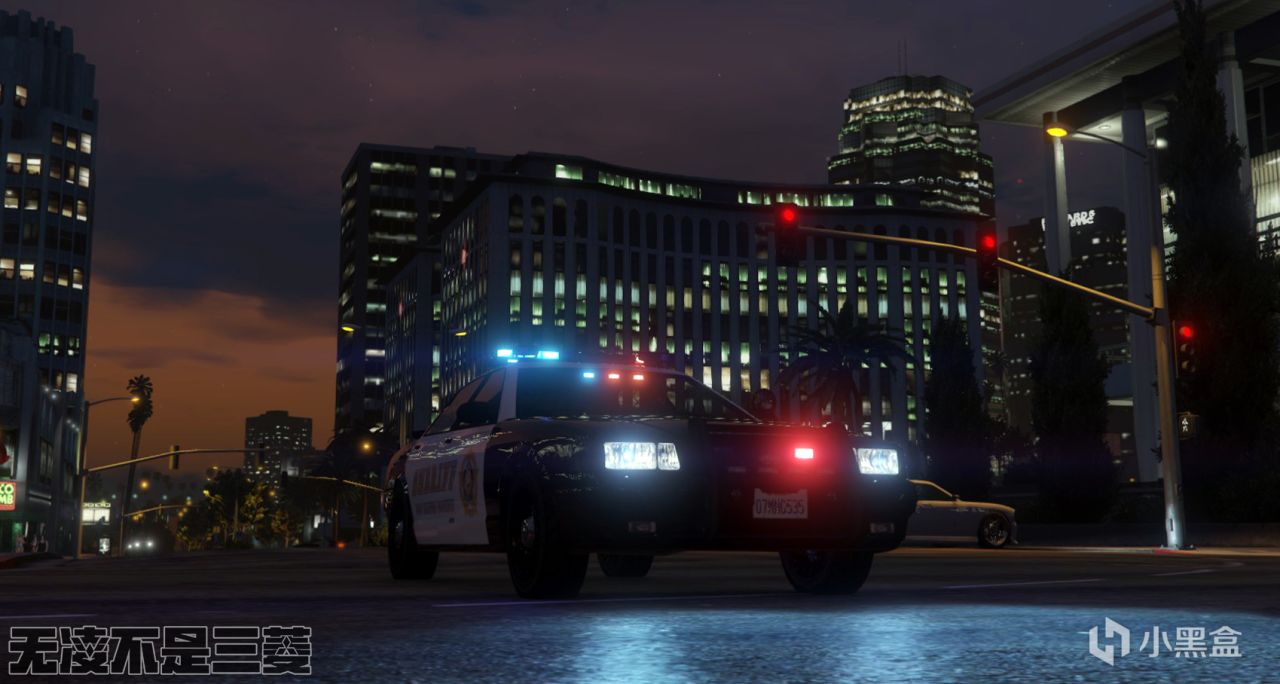 【凌坊】GTAOL警車個人改裝案例-第7張