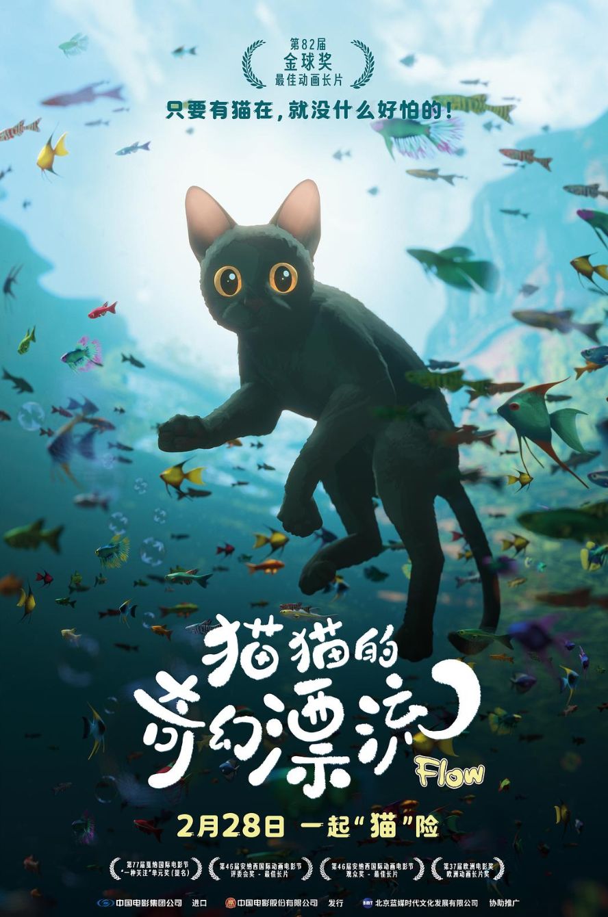 投票
  春节档之后，2月还有什么值得一看的电影？| 2月下旬上映电影一览-第5张