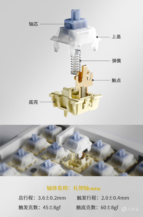 如果我把这个键盘给网文作者，他们会不会做到一天十更！-第14张