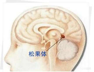 下雨天睡觉天，为什么一到下雨天，就特别想睡觉？