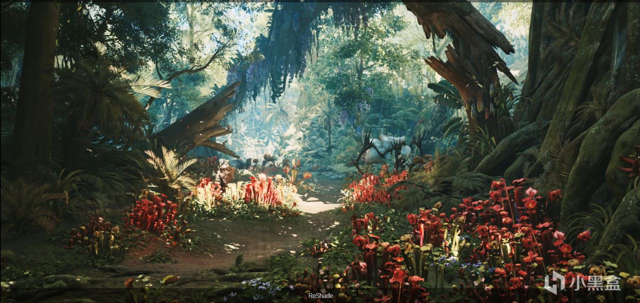 再也不糊了，怪物猎人荒野画面设置2.0版