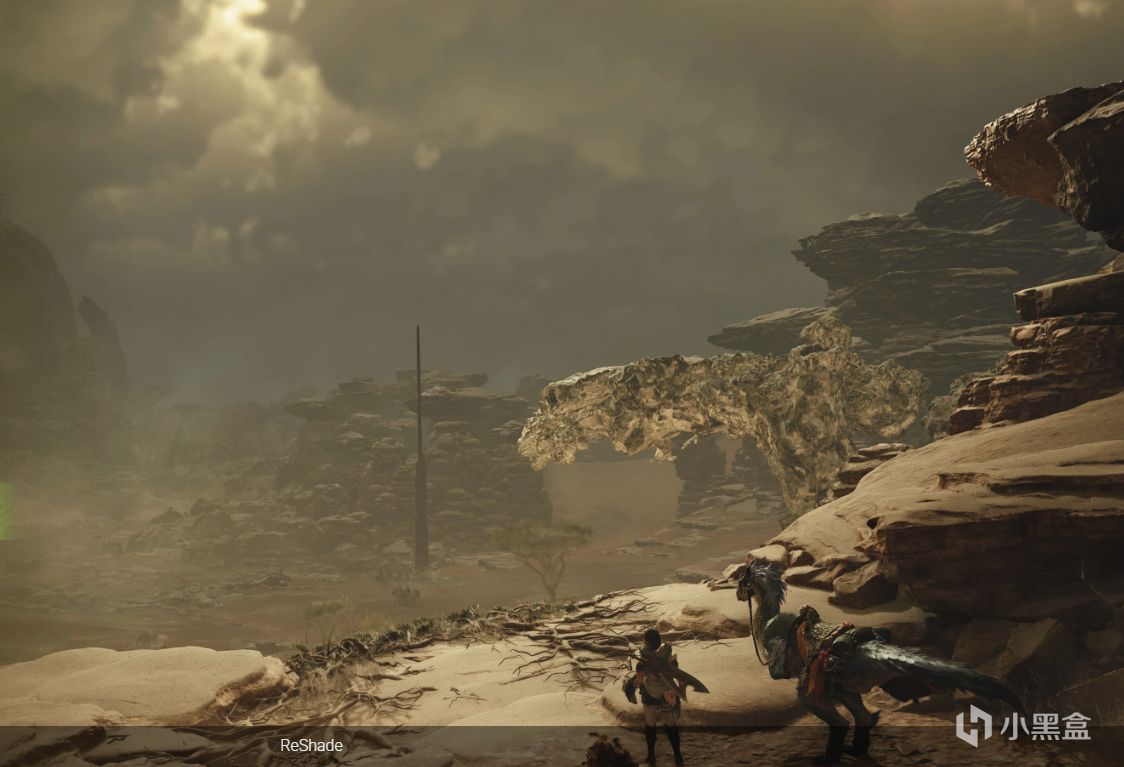 再也不糊了，怪物猎人荒野画面设置2.0版