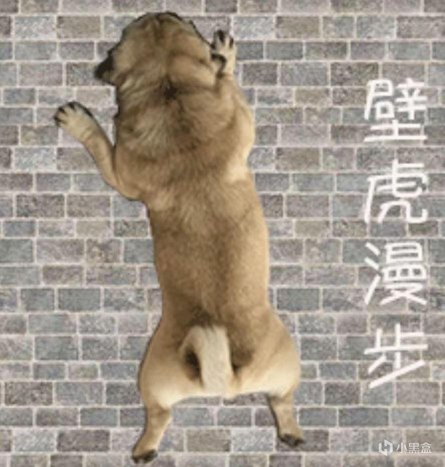 老祖宗的很多话都被误解啦