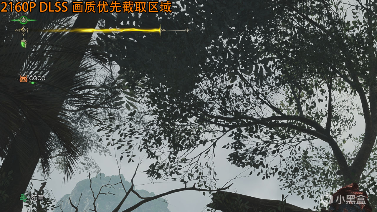 《魔物獵人：荒野》RTX 5080/5070 Ti/5070/3060實測，附畫質對比-第15張