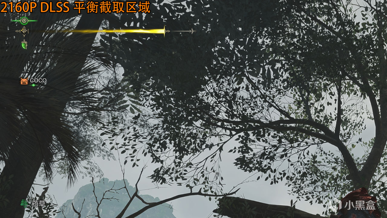 《魔物獵人：荒野》RTX 5080/5070 Ti/5070/3060實測，附畫質對比-第16張