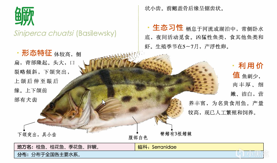 吃鱼(重点推荐刺少可食)-第2张