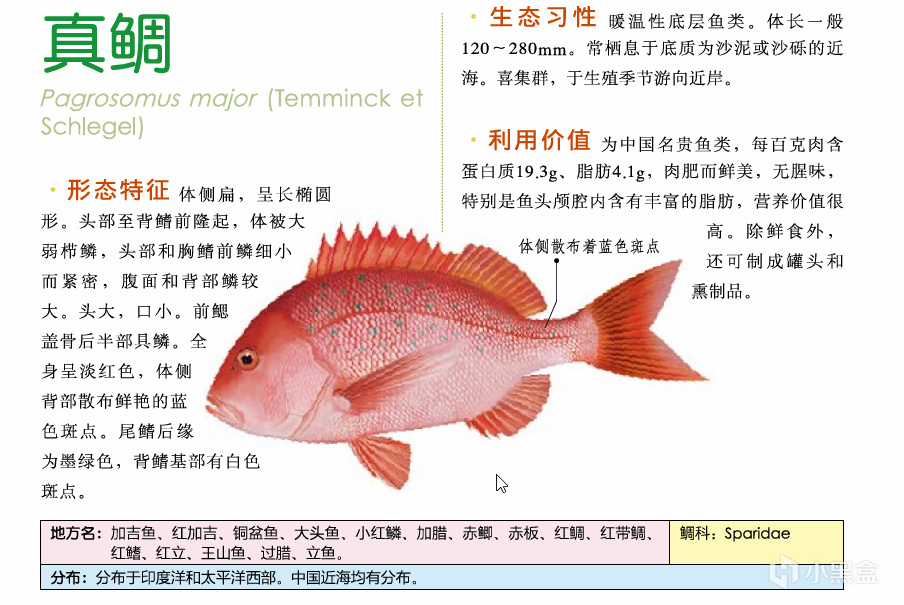 吃鱼(重点推荐刺少可食)-第7张