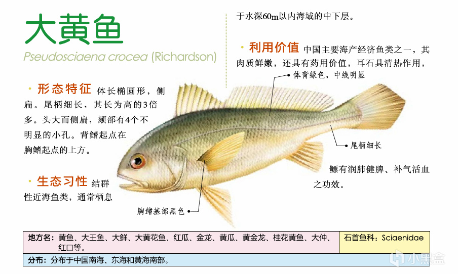 吃鱼(重点推荐刺少可食)-第6张