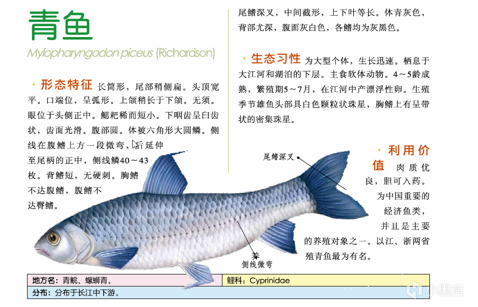 吃鱼(重点推荐刺少可食)-第10张