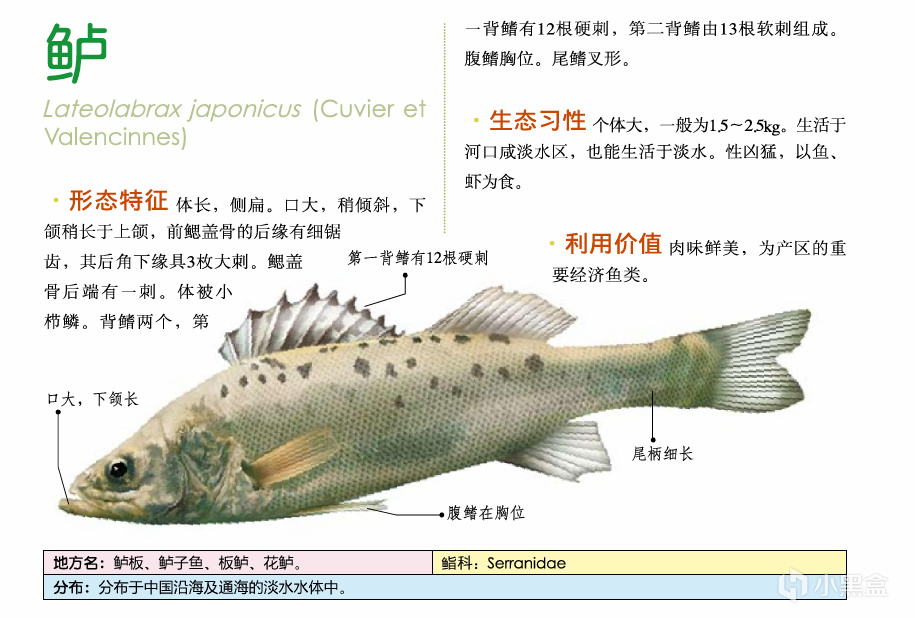 吃鱼(重点推荐刺少可食)-第1张