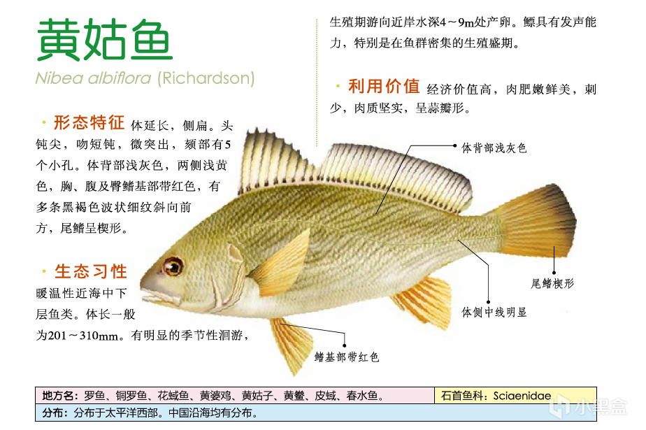 吃鱼(重点推荐刺少可食)-第19张