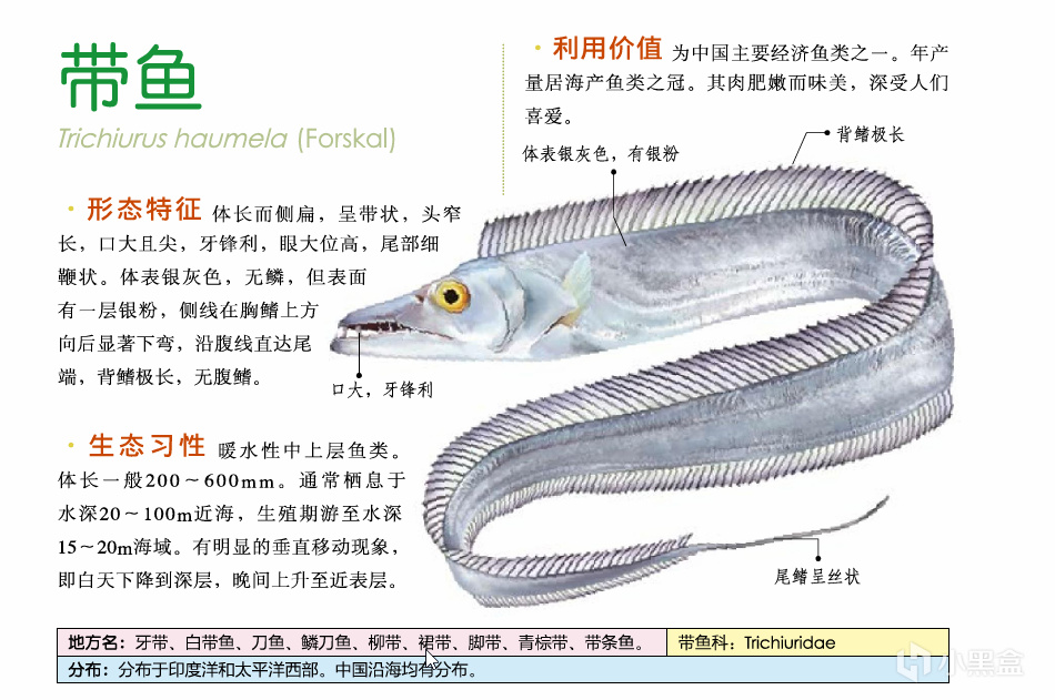 吃鱼（重点推荐刺少可食）