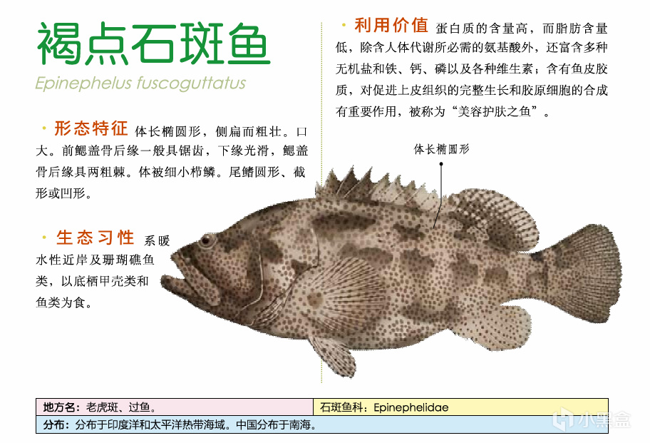 吃鱼(重点推荐刺少可食)-第5张