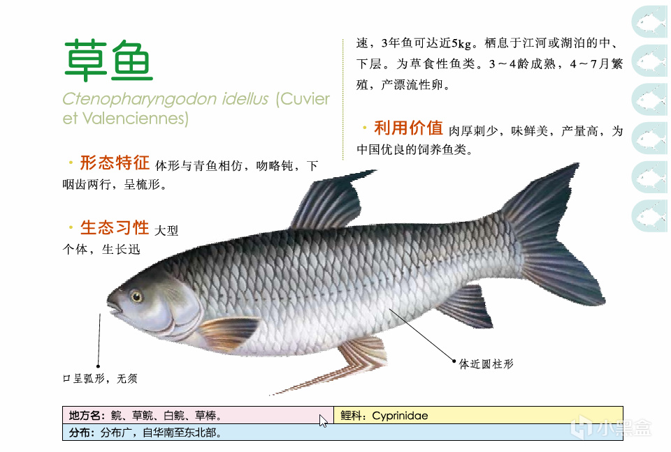 吃鱼(重点推荐刺少可食)-第21张
