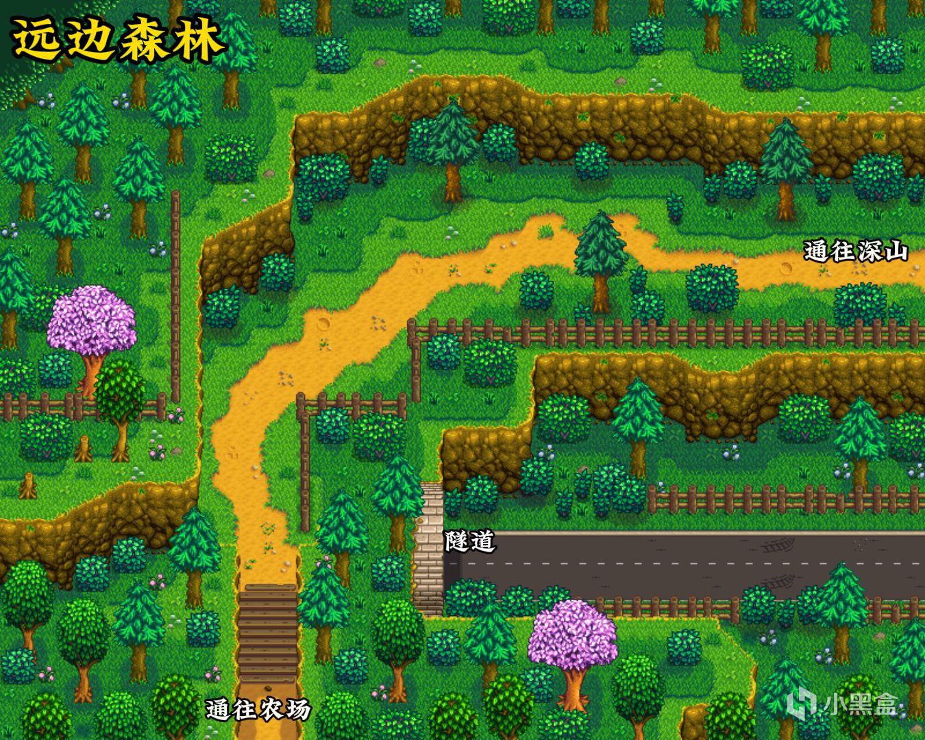 《星露谷物语》新手篇:小镇全地图探索指南-第10张