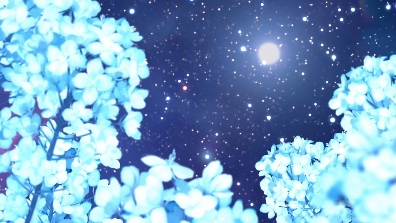 魔夜＋命运之夜史低折扣