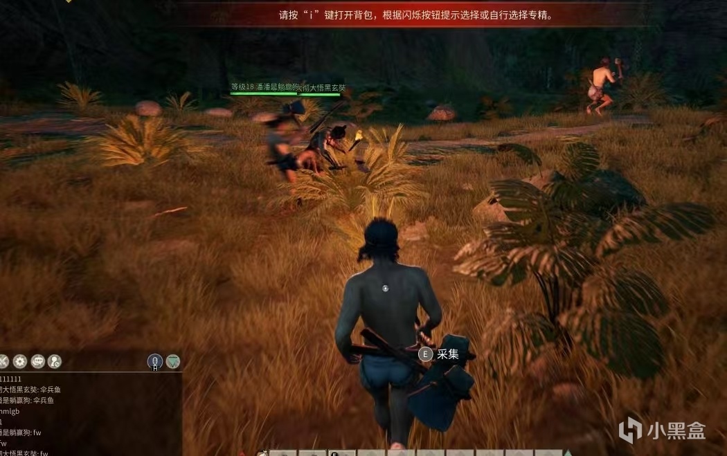 【球盟会】漆黑的夜，四人惨遭鳄鱼反复虐杀，究竟是多么绝望的死法？