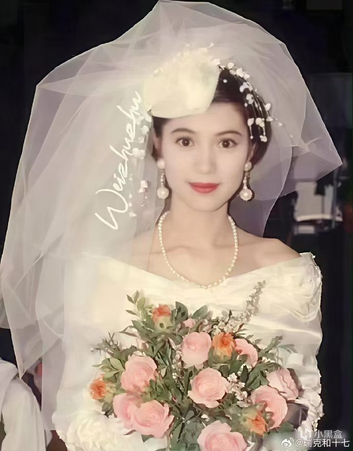 袁咏仪:荆棘与玫瑰交织的“港岛烈女”-第3张