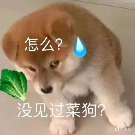 在黑盒写独立游戏一年后,这是我大脑发生的变化-第6张