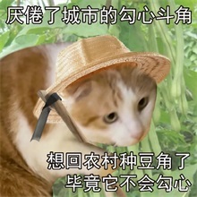 随便到谋定 看三谋如何破解策略选择难题-第2张