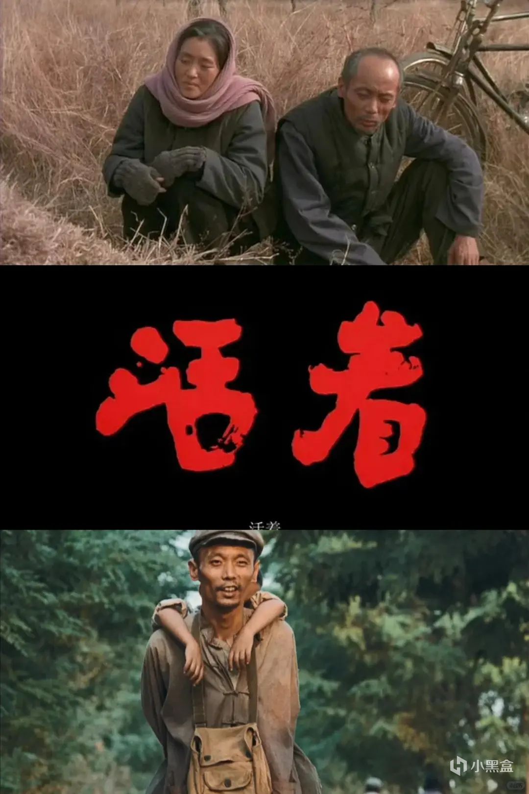 1994年 电影史上的狂欢年