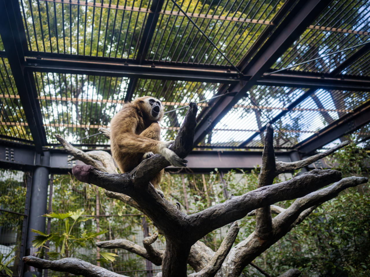 （多图）大几万块的哈苏微单到底怎么样？8年用户深评X1D优劣