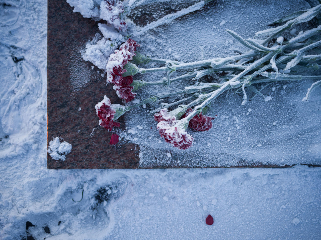 （多图）大几万块的哈苏微单到底怎么样？8年用户深评X1D优劣