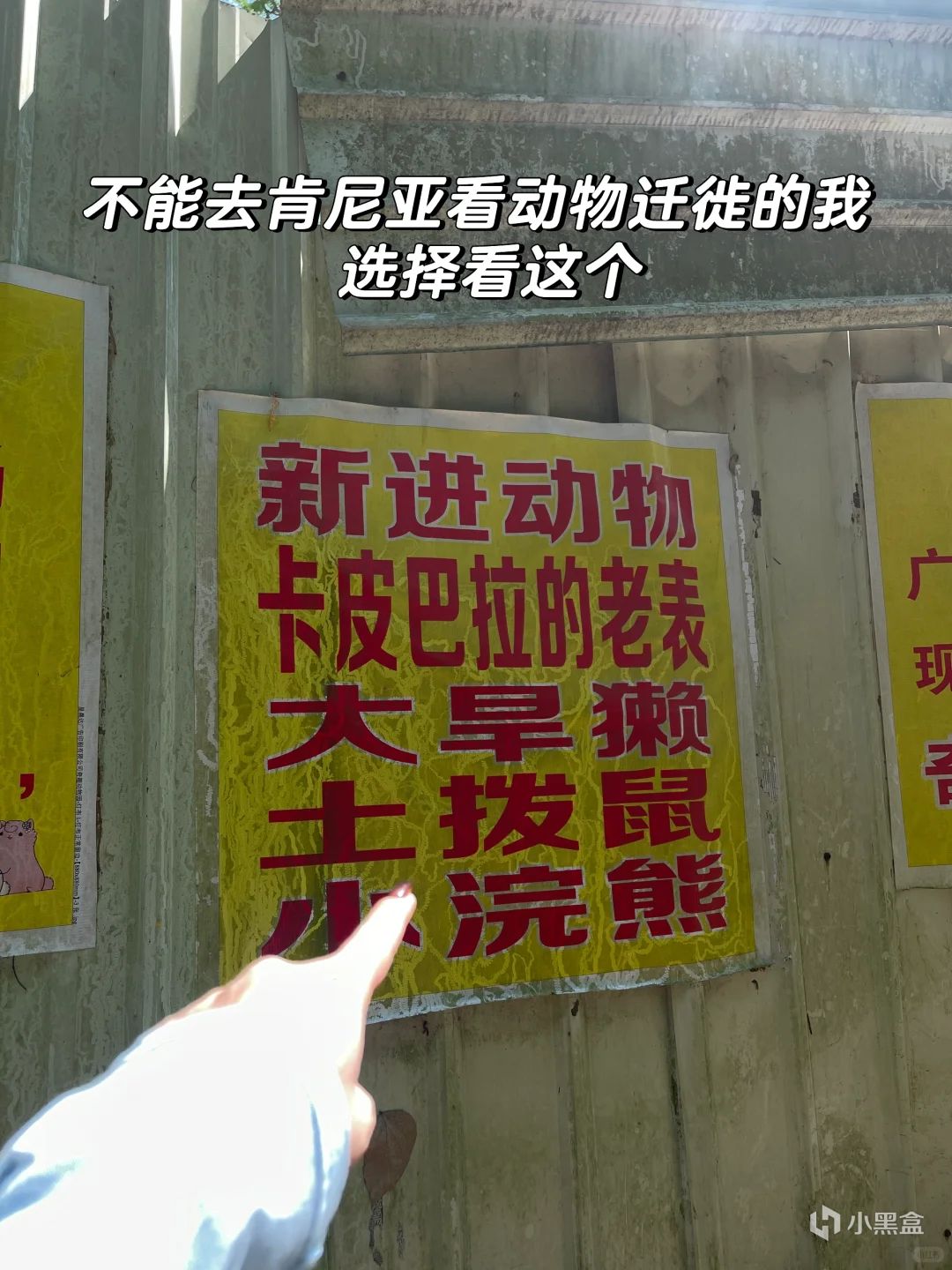 全网四位爆火的小摊老板