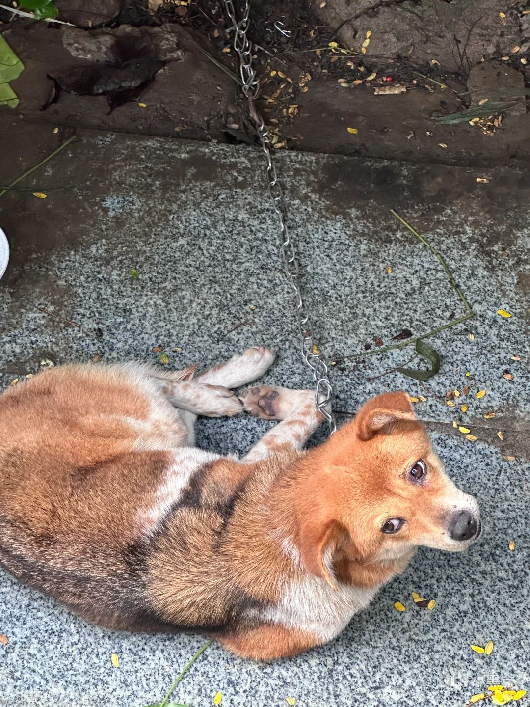 全网四位爆火的小摊老板