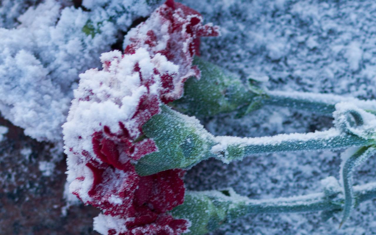 （多图）大几万块的哈苏微单到底怎么样？8年用户深评X1D优劣