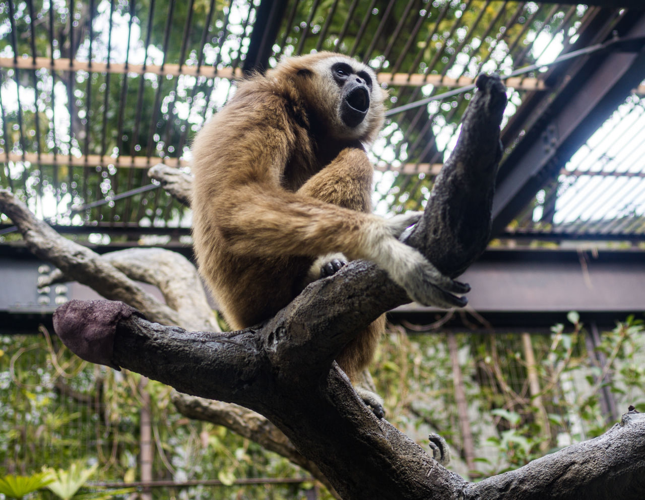 （多图）大几万块的哈苏微单到底怎么样？8年用户深评X1D优劣
