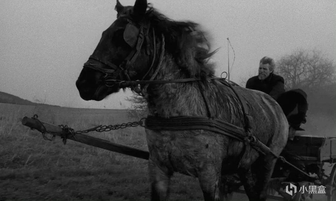 【球盟会】一文读懂诺奖！李白铁粉，诺贝尔文学奖拉斯洛