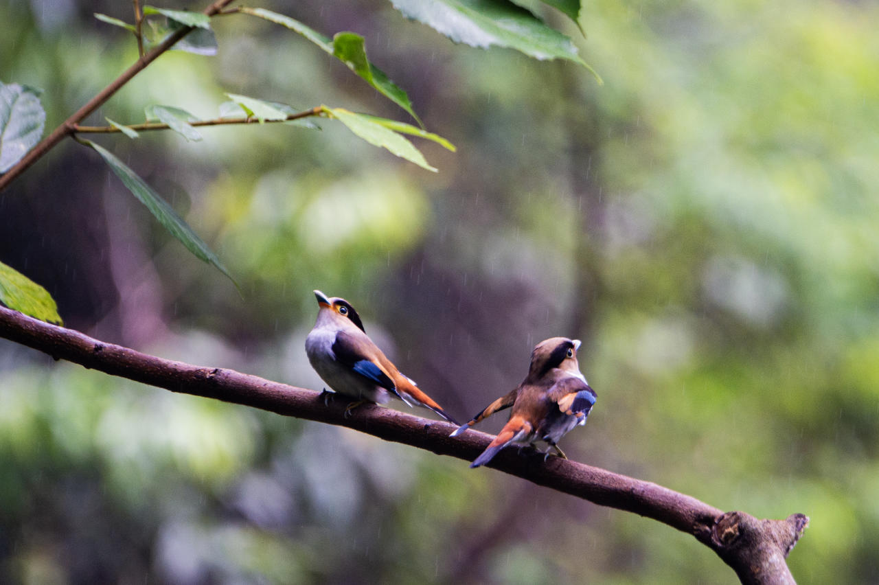 【球盟会】新手/进阶适用：写给摄影爱好者朋友的终极镜头指南（上）