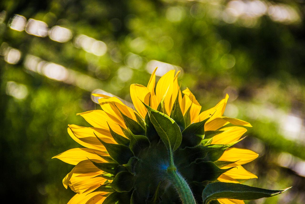 【球盟会】新手/进阶适用：写给摄影爱好者朋友的终极镜头指南（上）