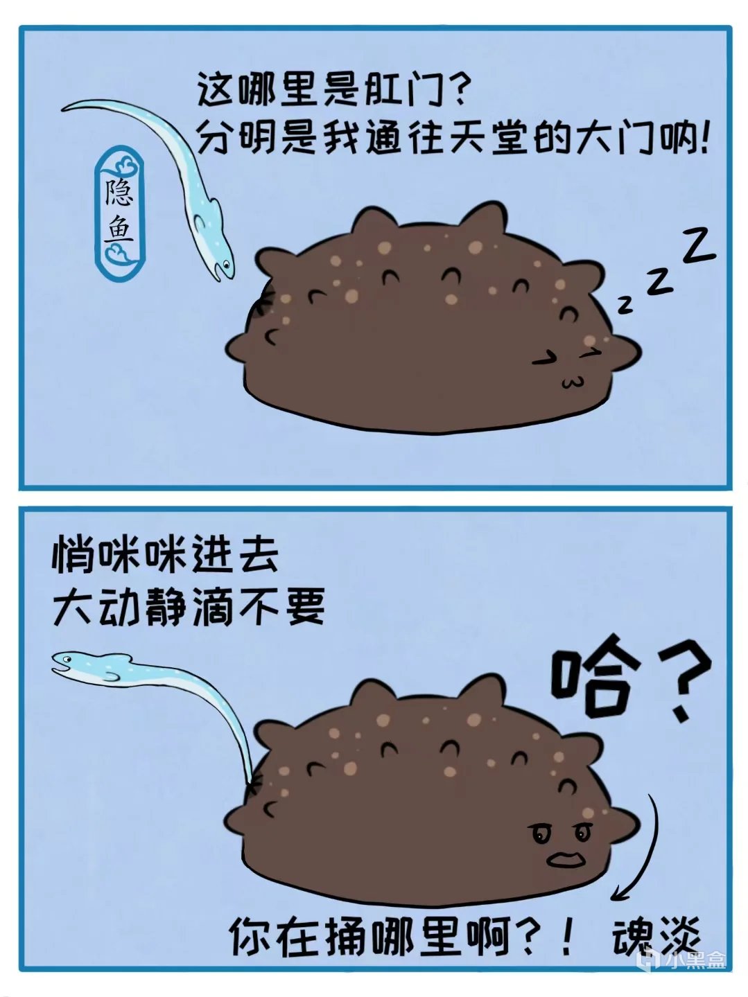 【球盟会】活了5亿年的海参，体育生吃了能补肾体吗