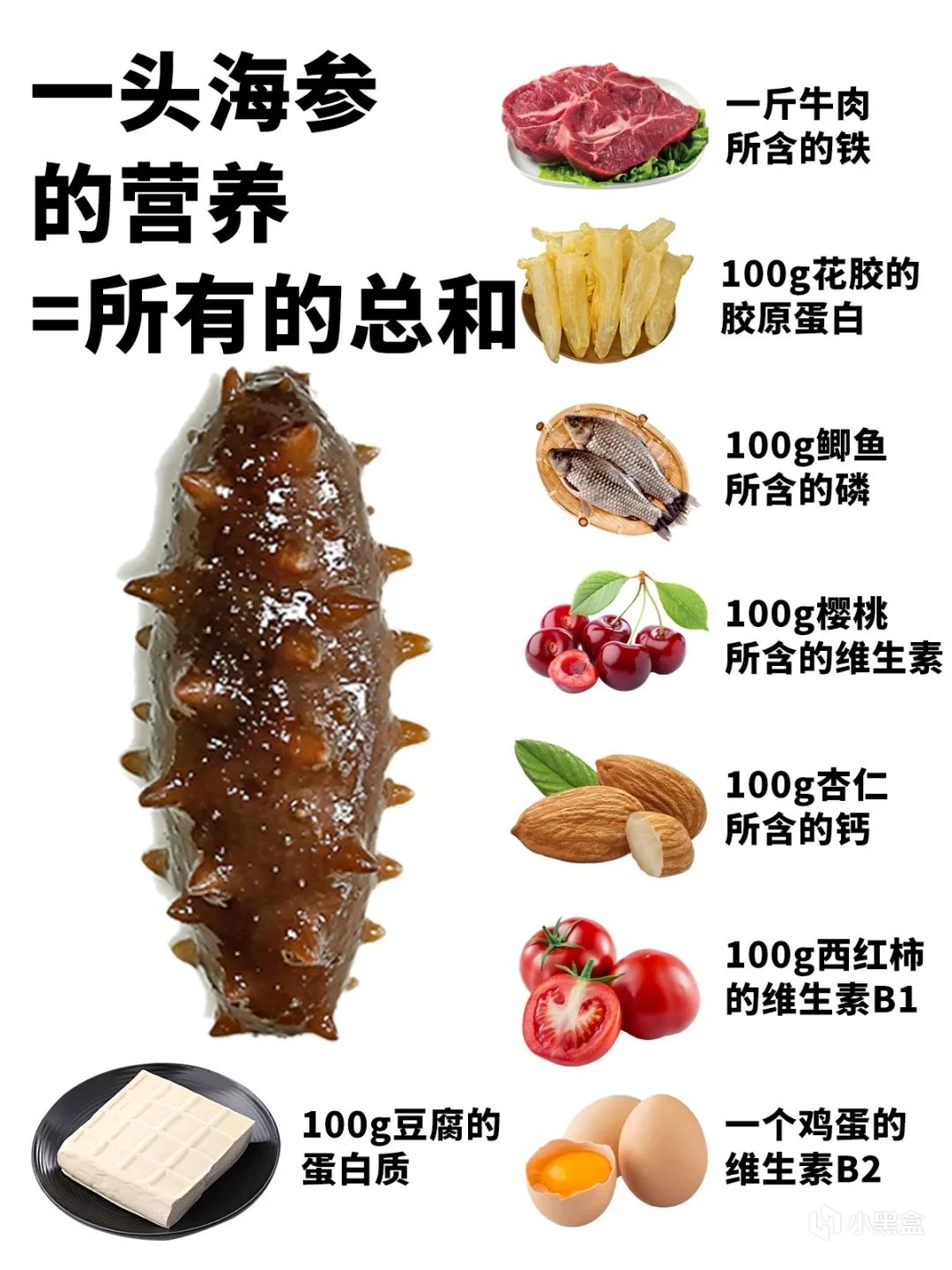 【球盟会】活了5亿年的海参，体育生吃了能补肾体吗