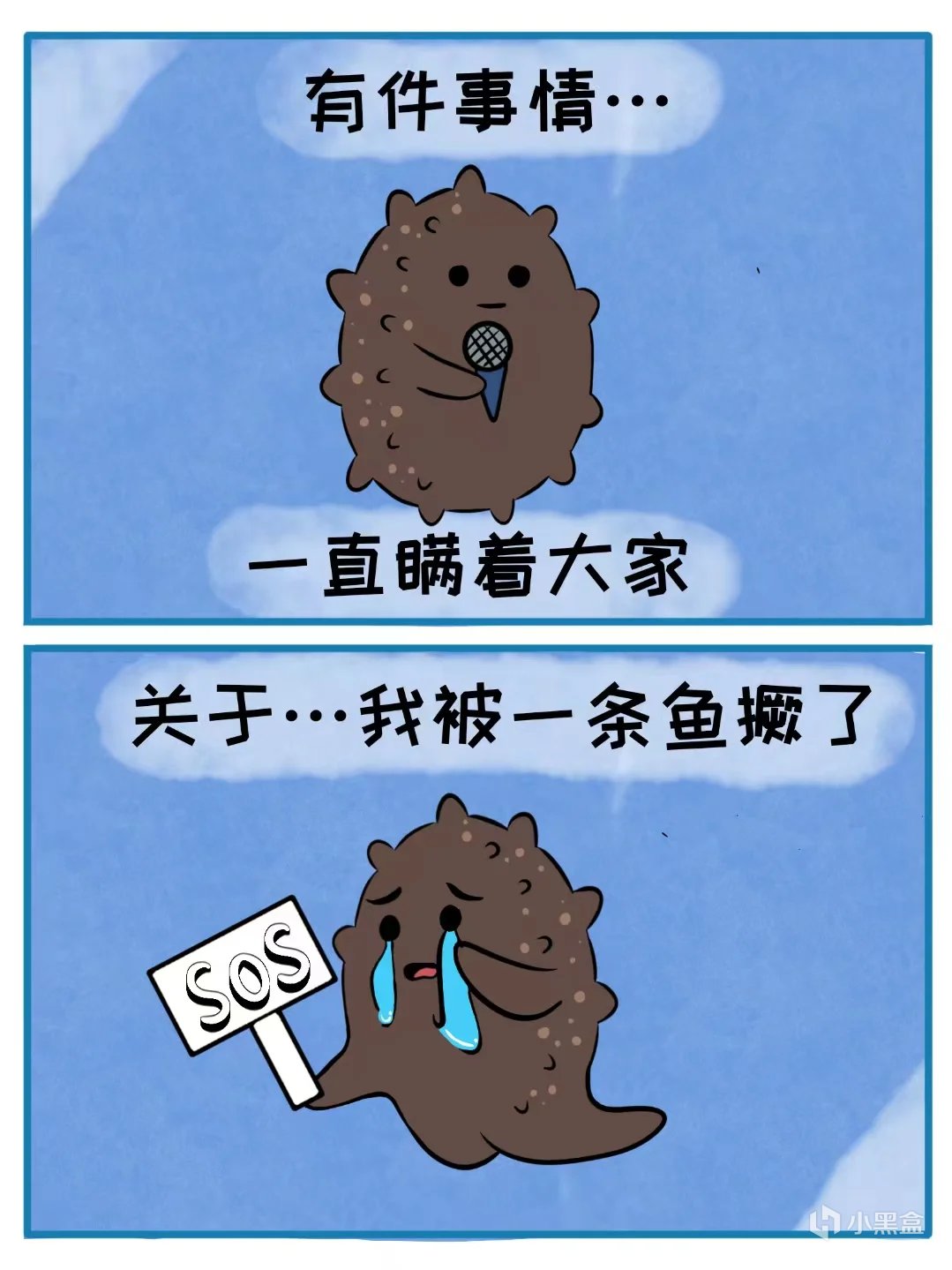 【球盟会】活了5亿年的海参，体育生吃了能补肾体吗