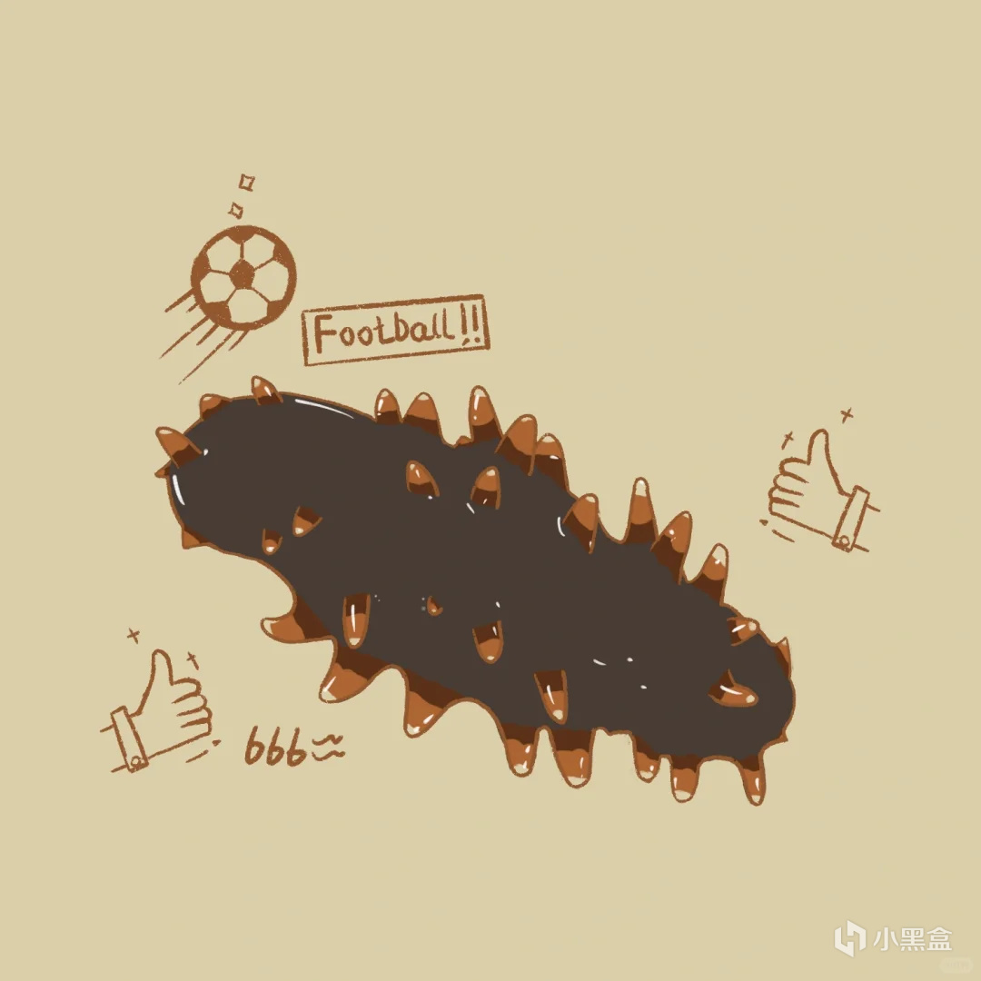 【球盟会】活了5亿年的海参，体育生吃了能补肾体吗