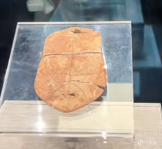 【球盟会】国博一件我一件，国博没盖我有盖---made in 河南